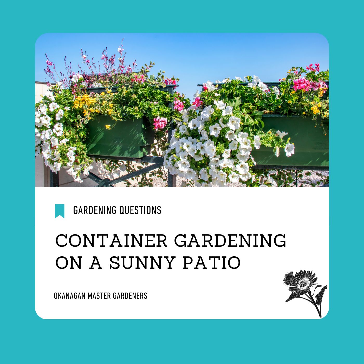 Container Gardening On A Sunny Patio | MGABC Master Gardeners Of ...